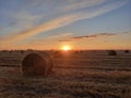 Yellow hay bale at sunset Royalty Free Stock Photo